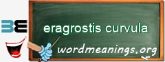 WordMeaning blackboard for eragrostis curvula